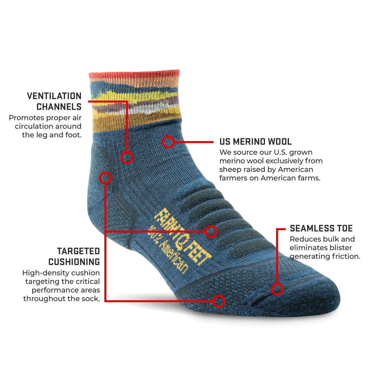 Farm to Feet Max Patch Lightweight Mini Crew Hiking Socks -