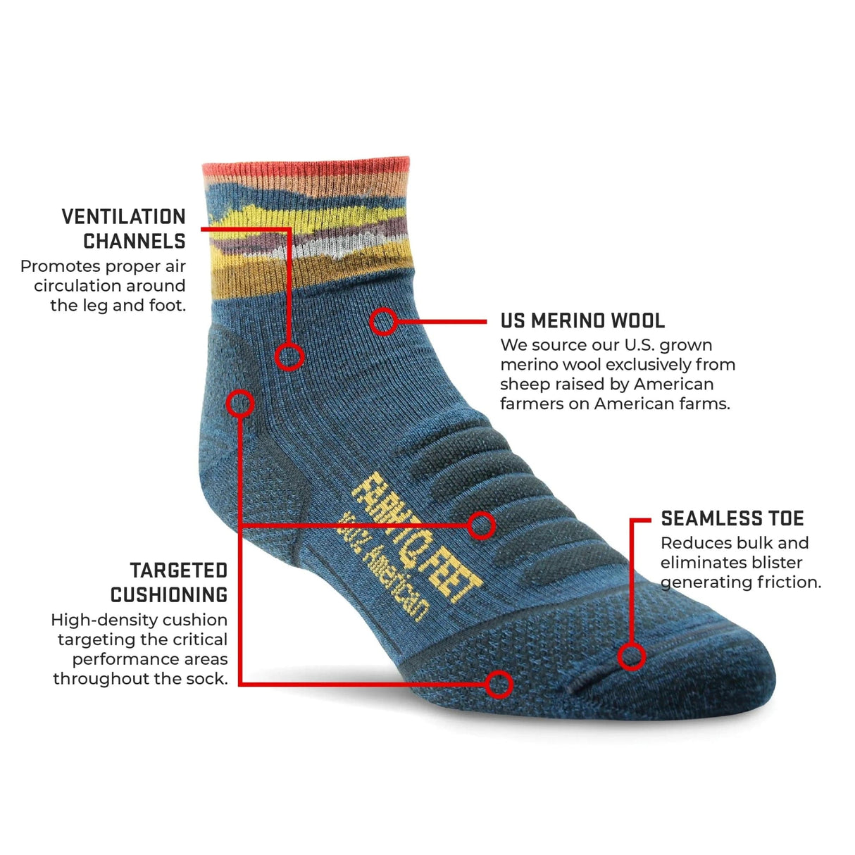 Farm to Feet Max Patch Lightweight Mini Crew Hiking Socks  -
