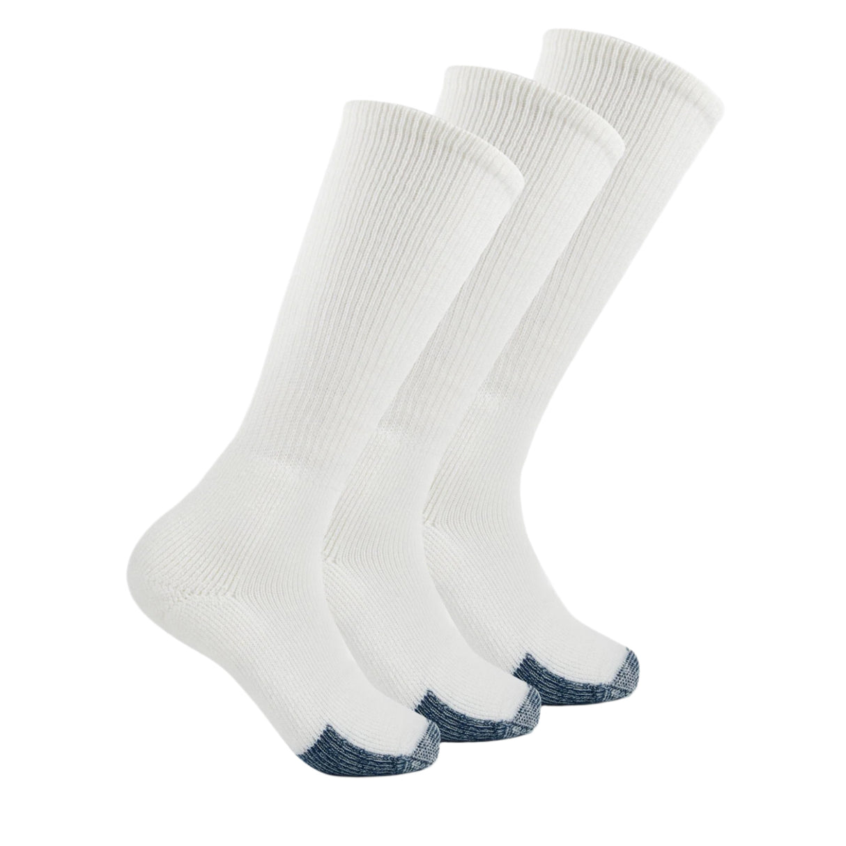 Thorlo Basketball Maximum Cushion OTC 3-Pack Socks  -  Large / White
