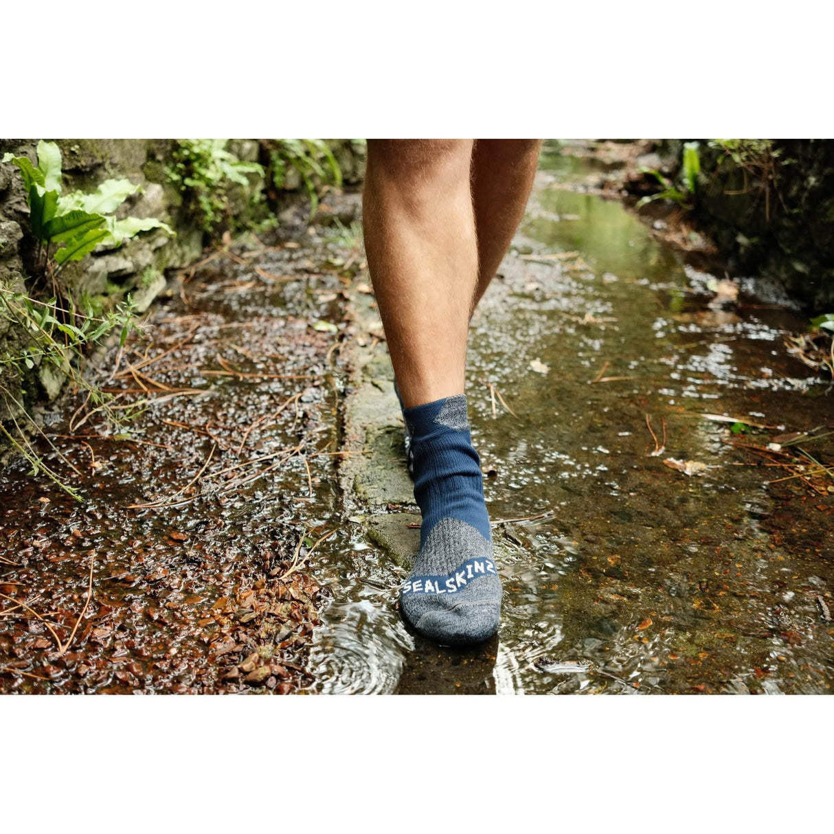 Sealskinz Bircham Waterproof All Weather Ankle Length Socks -