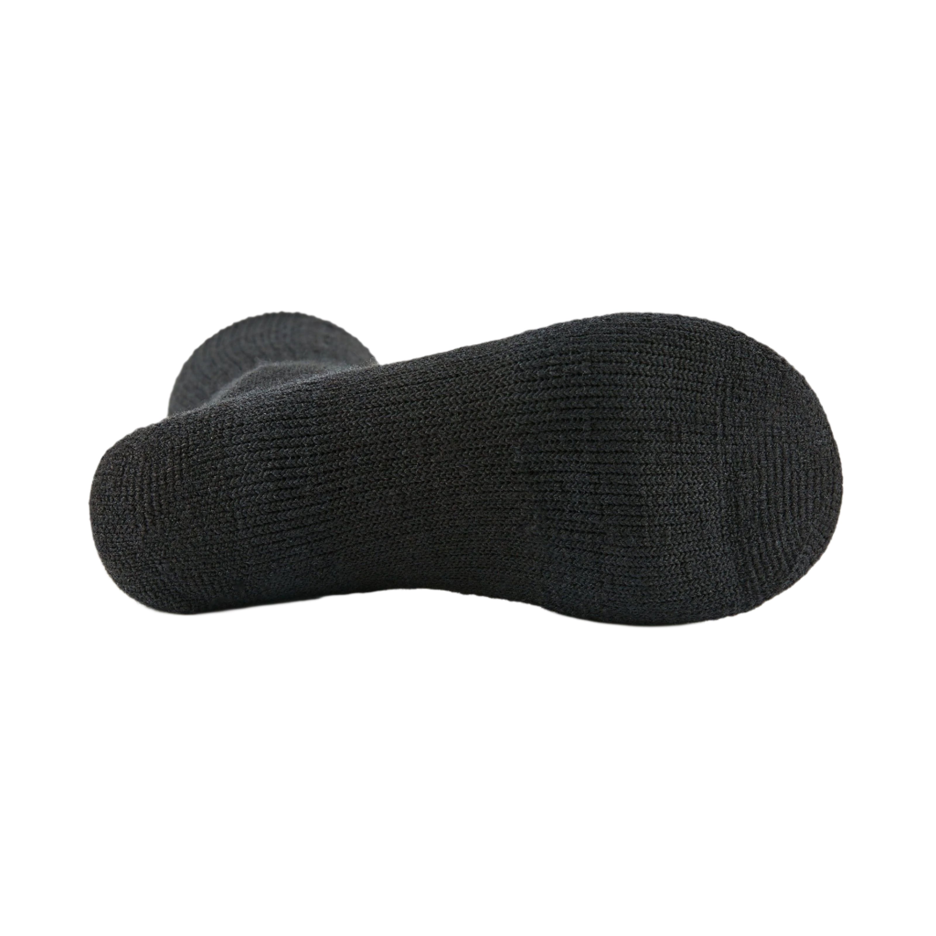 Thorlo Maximum Cushion Crew Extreme Cold Socks  -