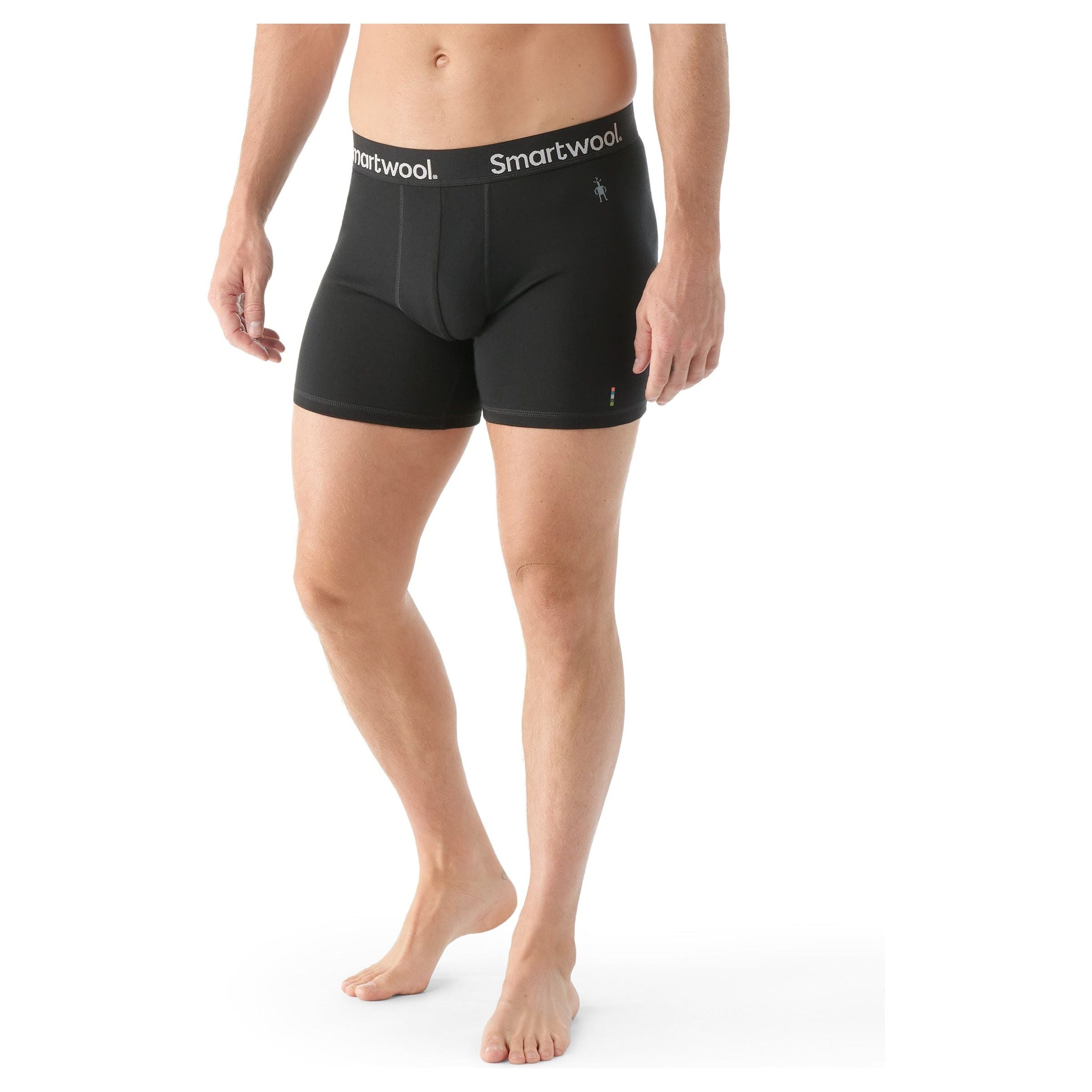 Smartwool Mens Everyday Merino Boxer Brief  -