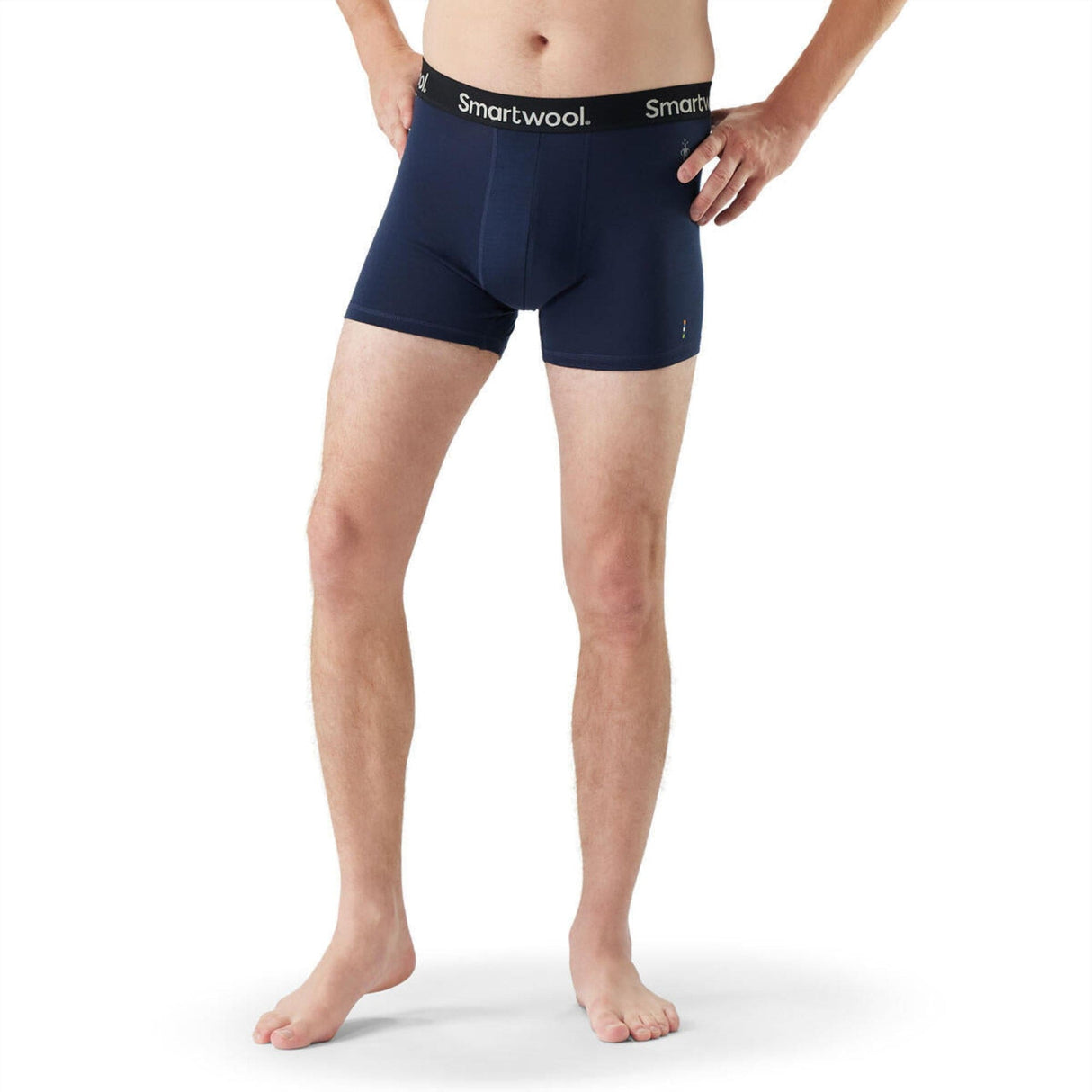 Smartwool Mens Everyday Merino Boxer Brief -