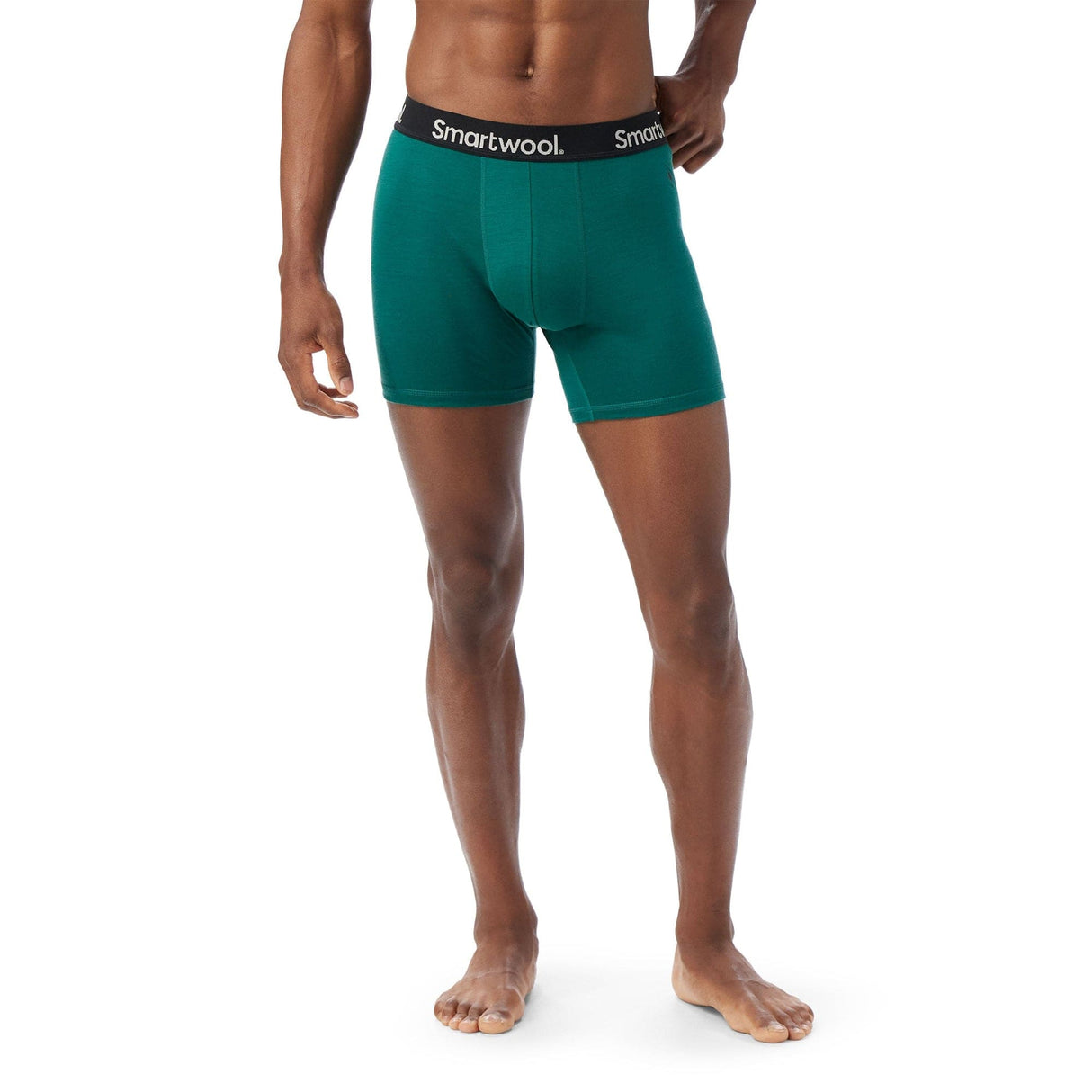 Smartwool Mens Everyday Merino Boxer Brief - Clearance -