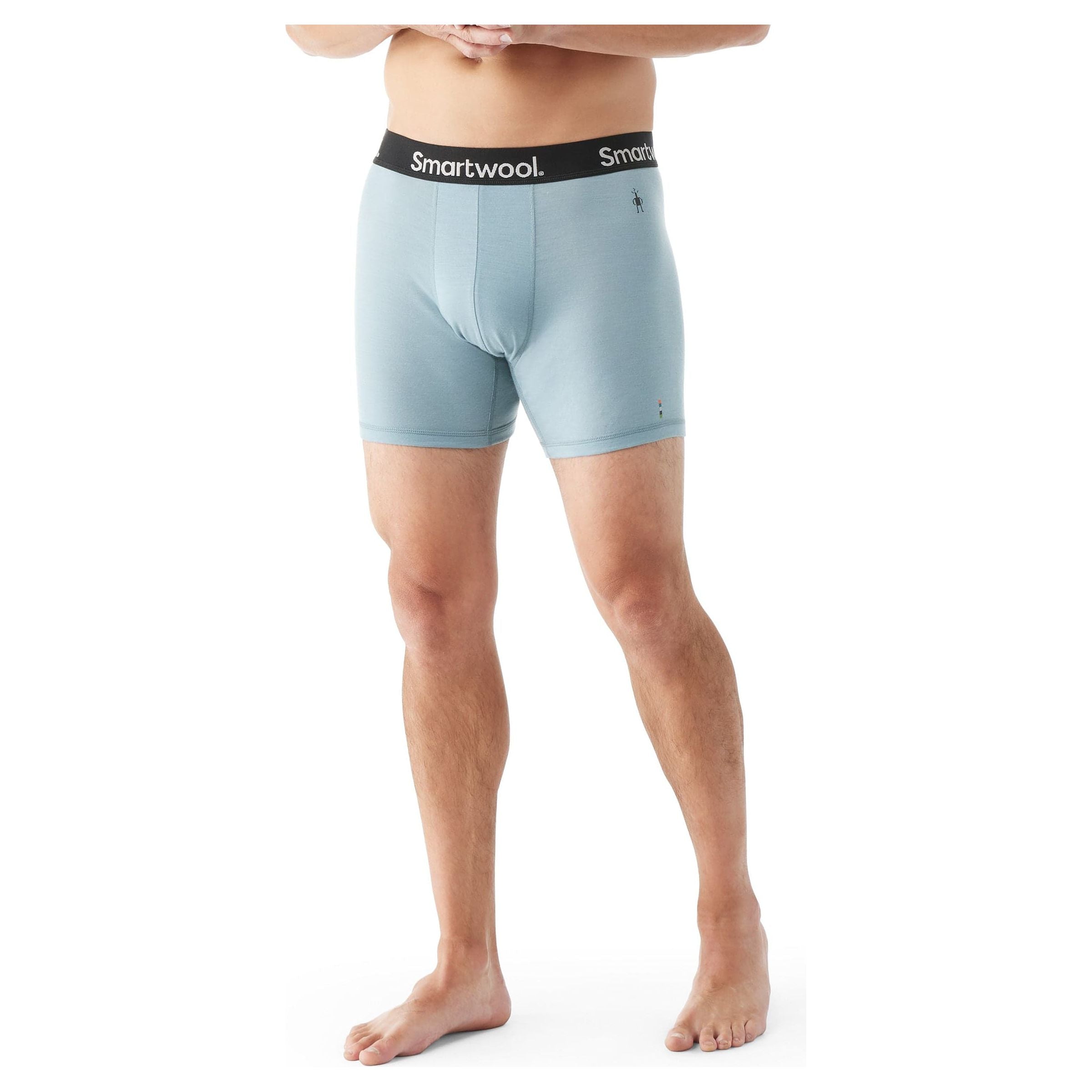 Smartwool Mens Everyday Merino Boxer Brief - Clearance  -