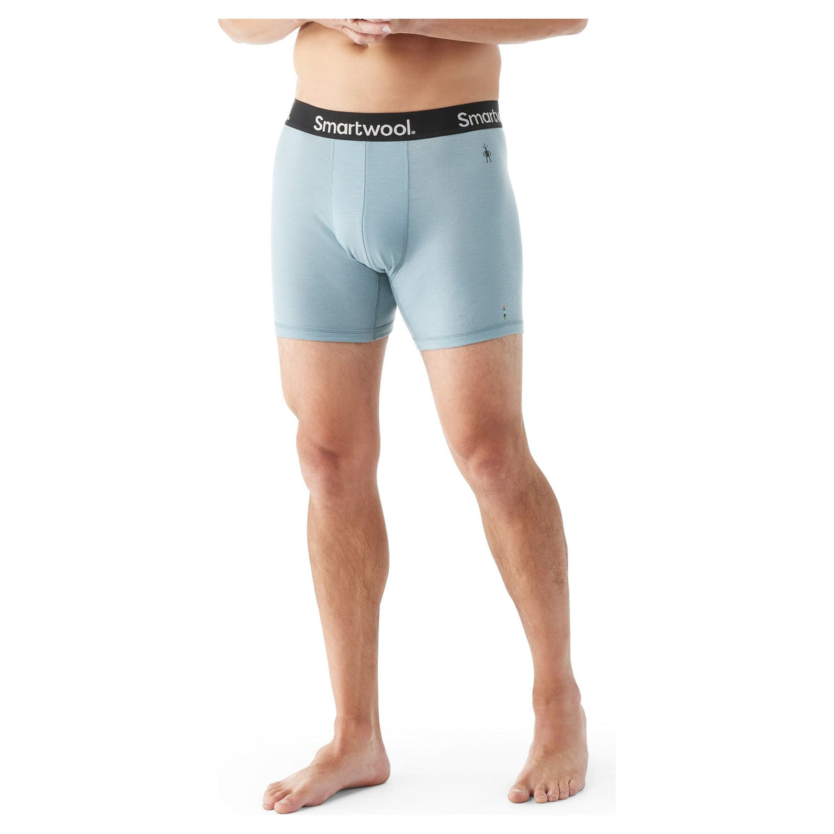 Smartwool Mens Everyday Merino Boxer Brief - Clearance  -