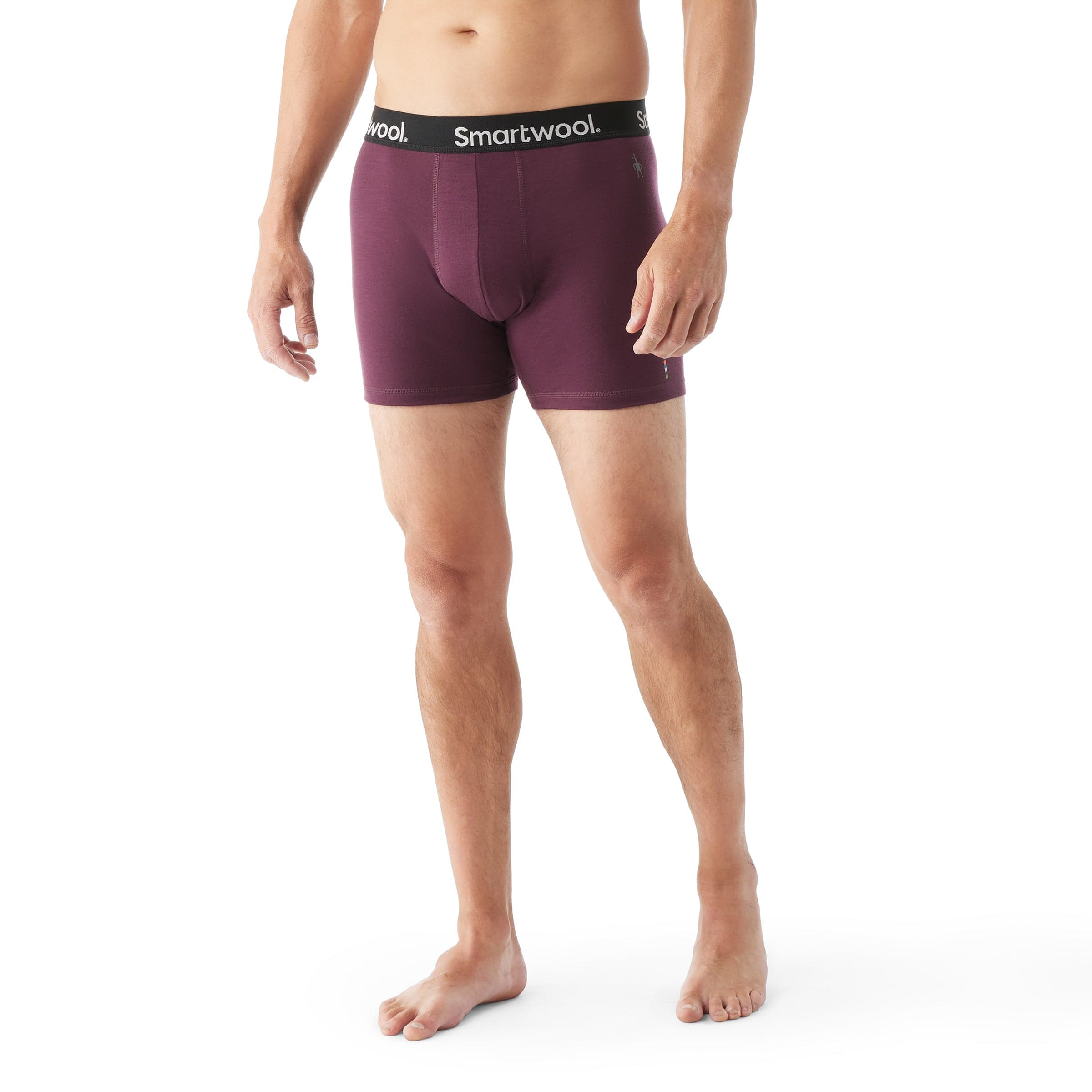 Smartwool Mens Everyday Merino Boxer Brief - Clearance  -