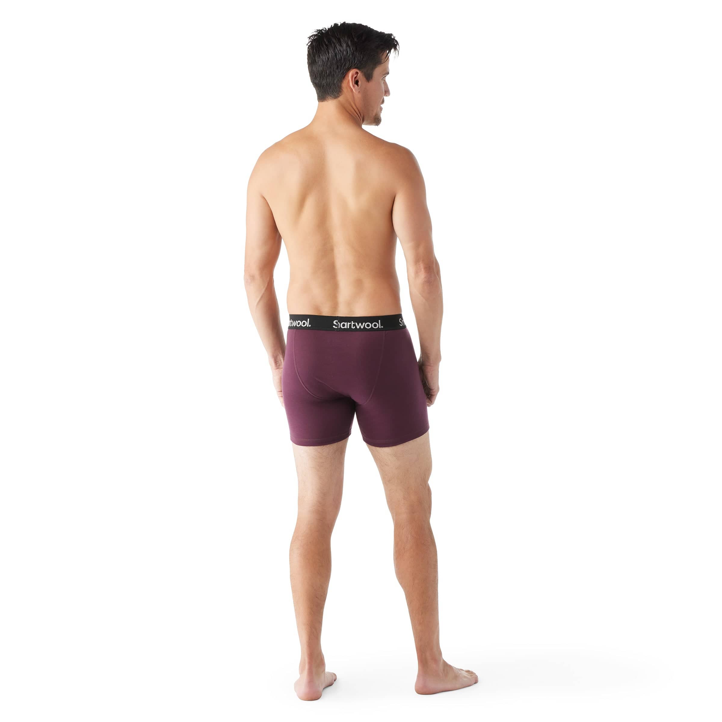 Smartwool Mens Everyday Merino Boxer Brief - Clearance  -
