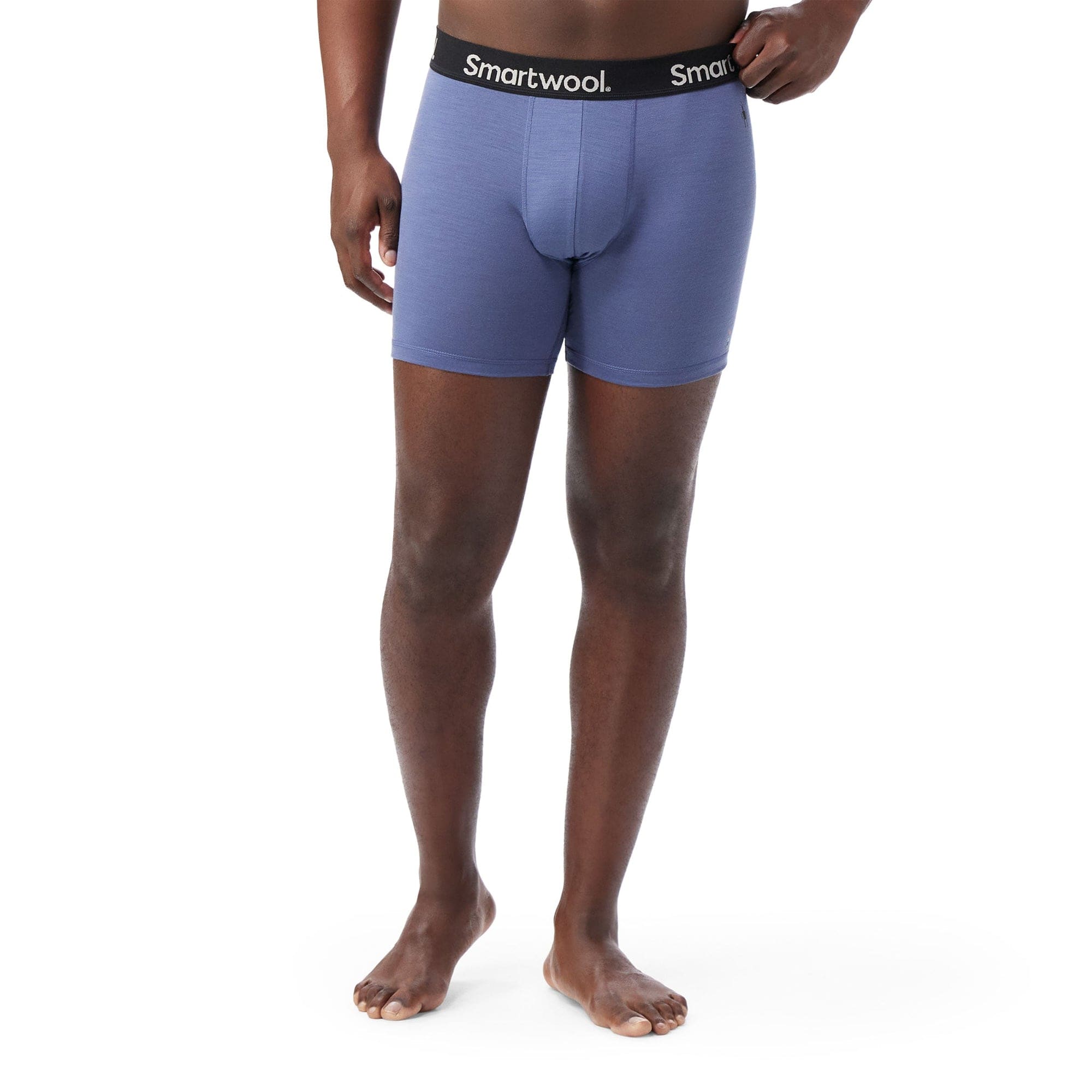 Smartwool Mens Everyday Merino Boxer Brief  -