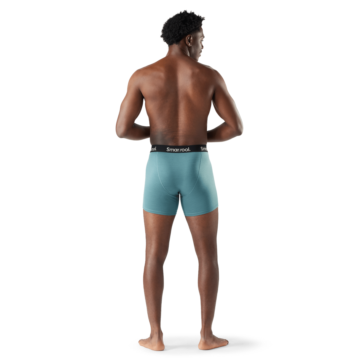 Smartwool Mens Everyday Merino Boxer Brief -