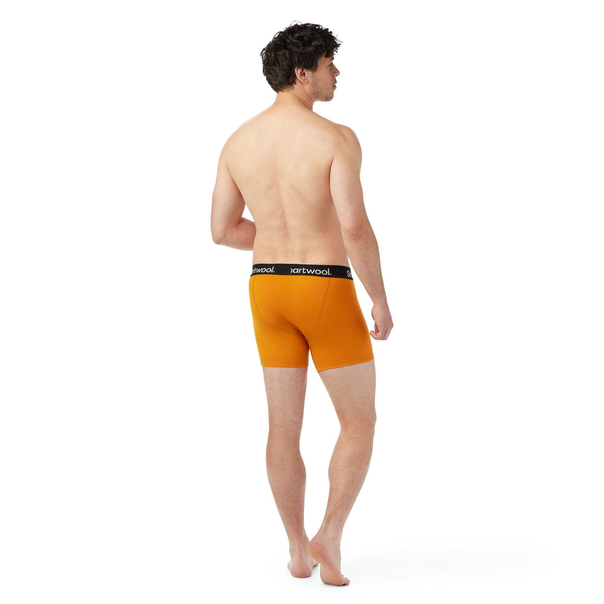 Smartwool Mens Boxer Brief  -
