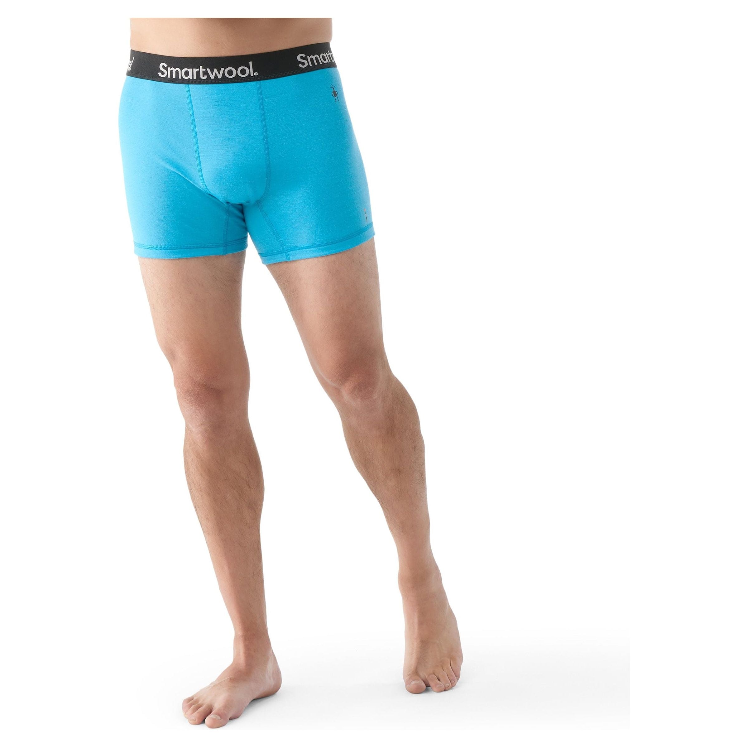 Smartwool Mens Boxer Brief  -