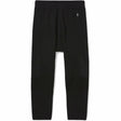 Smartwool Mens Merino 250 Base Layer 3/4 Bottoms  -  Small / Black