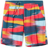 Smartwool Mens Active Lined 8" Shorts  -  Medium / Carnival Horizon Print