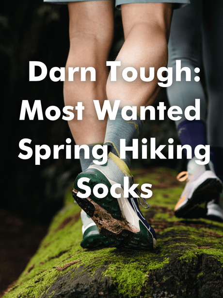 Darn Tough Most Wanted Spring Hiking Socks