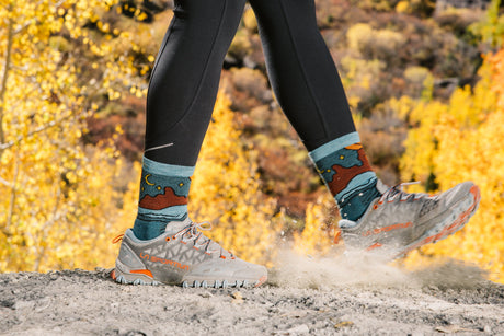 Person wearing colorful Darn Tough socks with a nature design while hiking on a trail with autumn foliage.