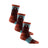 Darn Tough Womens Bear Town Micro Crew Lightweight Hiking 3-Pack Socks