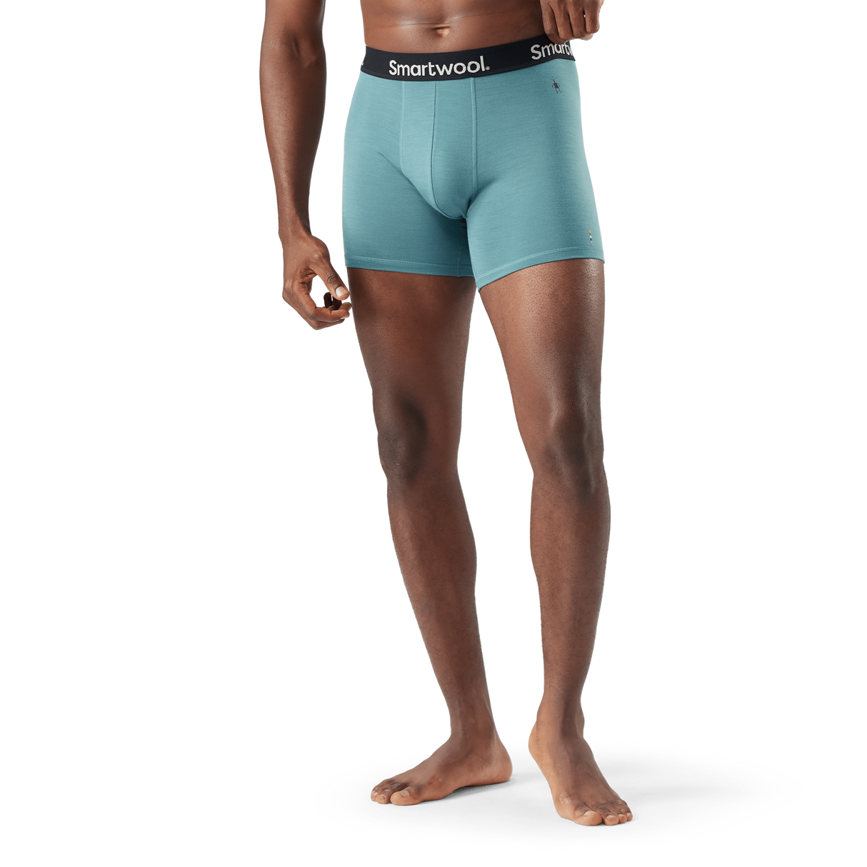 Smartwool Mens Everyday Merino Boxer Brief  - 