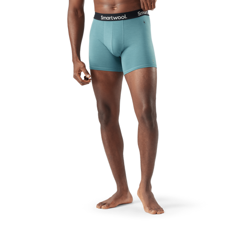 Smartwool Mens Everyday Merino Boxer Brief  - 