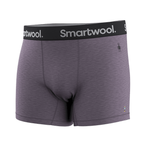 Smartwool Mens Active Boxer Brief  -  Small / Purple Storm Heather