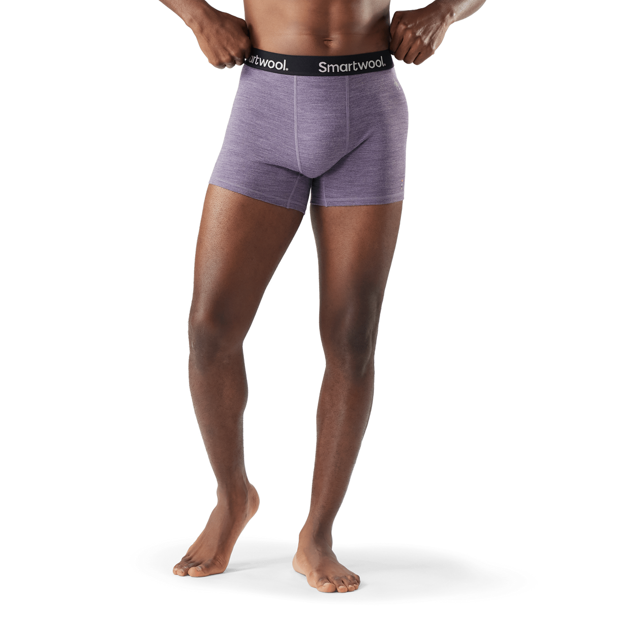 Smartwool Mens Active Boxer Brief  - 