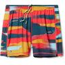 Smartwool Mens Active Lined 5" Shorts  -  X-Large / Carnival Horizon Print