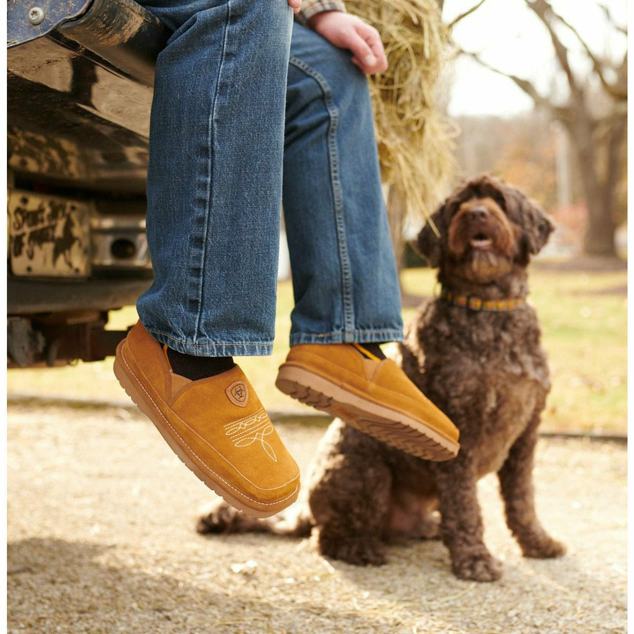 Ariat Mens Lasso Square Toe Slippers  -  14 / Chestnut